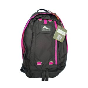 Gregory グレゴリー HALF DAY 19L (Black Electric Pink黑粉色)