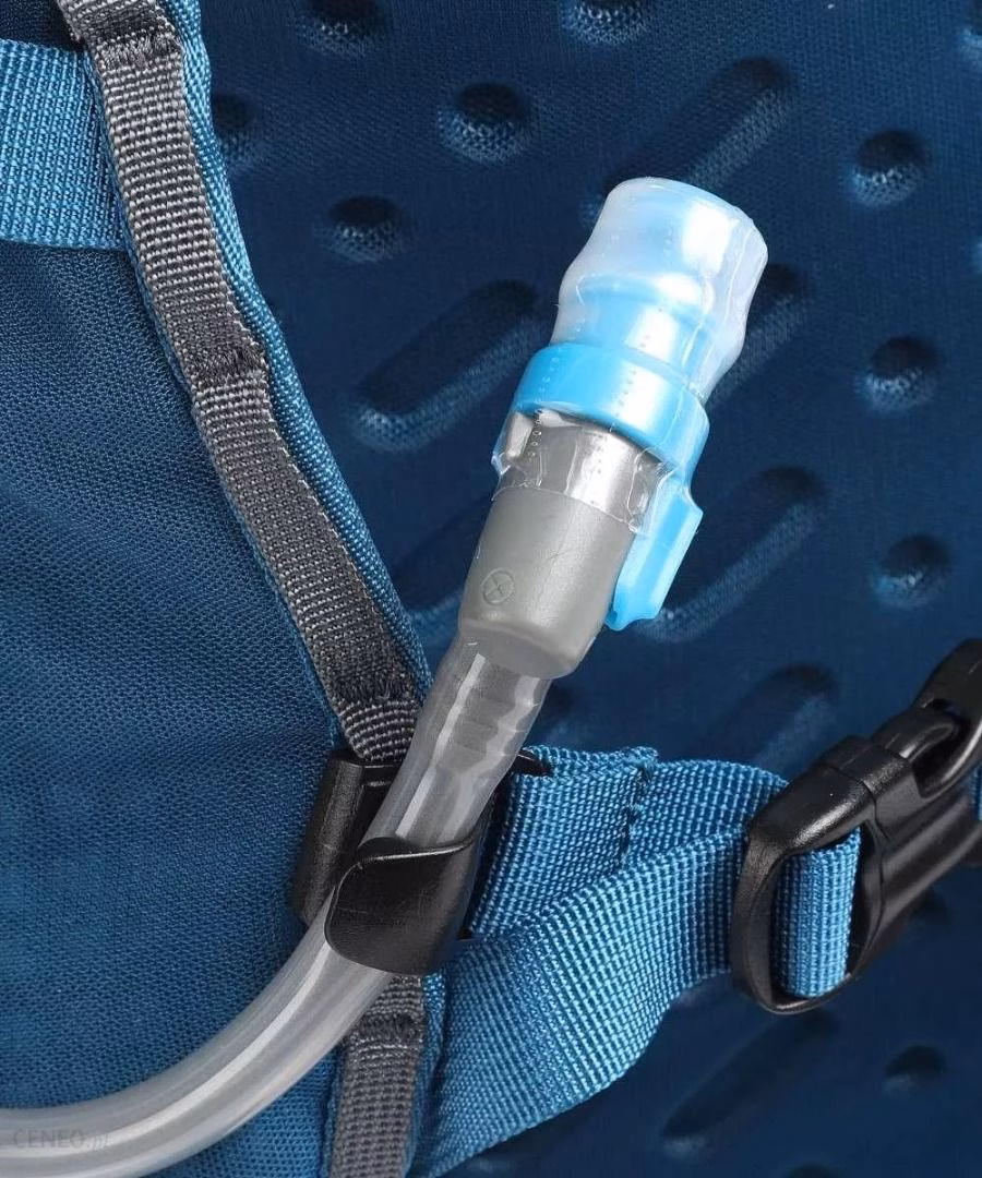 Patagonia パタゴニア Dirt Roamer Pack 20L - S size (Steller Blue藍色) - Image 4