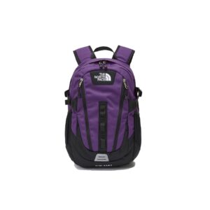THE NORTH FACE Mini Shot 18L (Purple紫色)